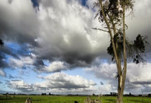 [欧冠]莫拉塔双响 马德里竞技大胜凯尔特人.