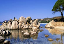 积分榜：海港泰山申花津门虎7分 浙江西海岸国安5分 亚泰三镇0分.